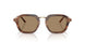 646573 - Brown - Dark Brown