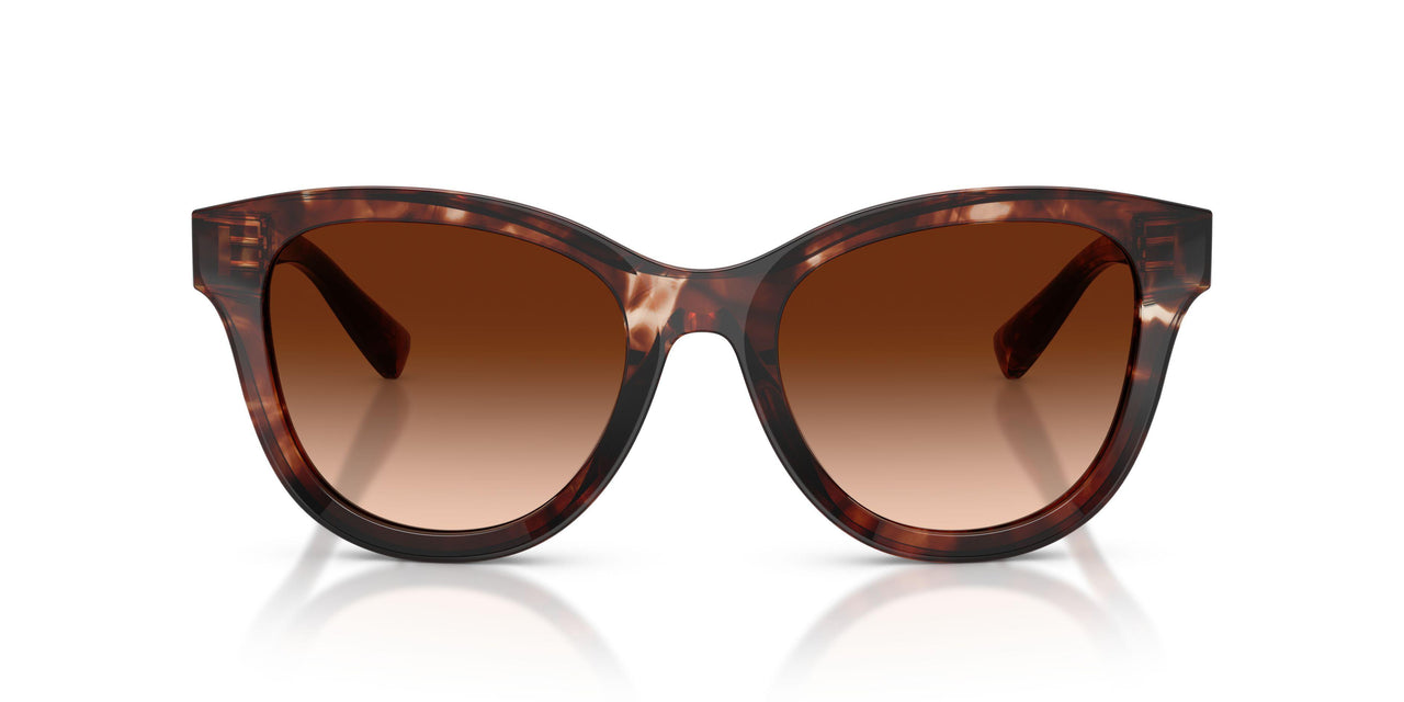 322274 - Red - Brown Gradient
