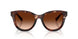 322274 - Red - Brown Gradient