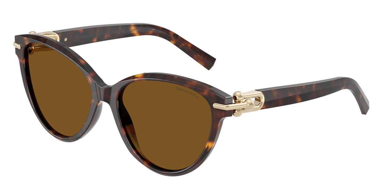 801583 - Tortoise - Dark Brown Polar
