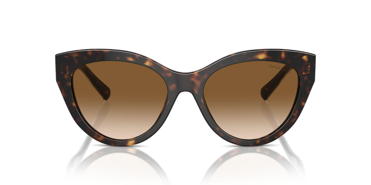 801551 - Tortoise - Clear Gradient Brown