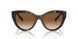 801551 - Tortoise - Clear Gradient Brown