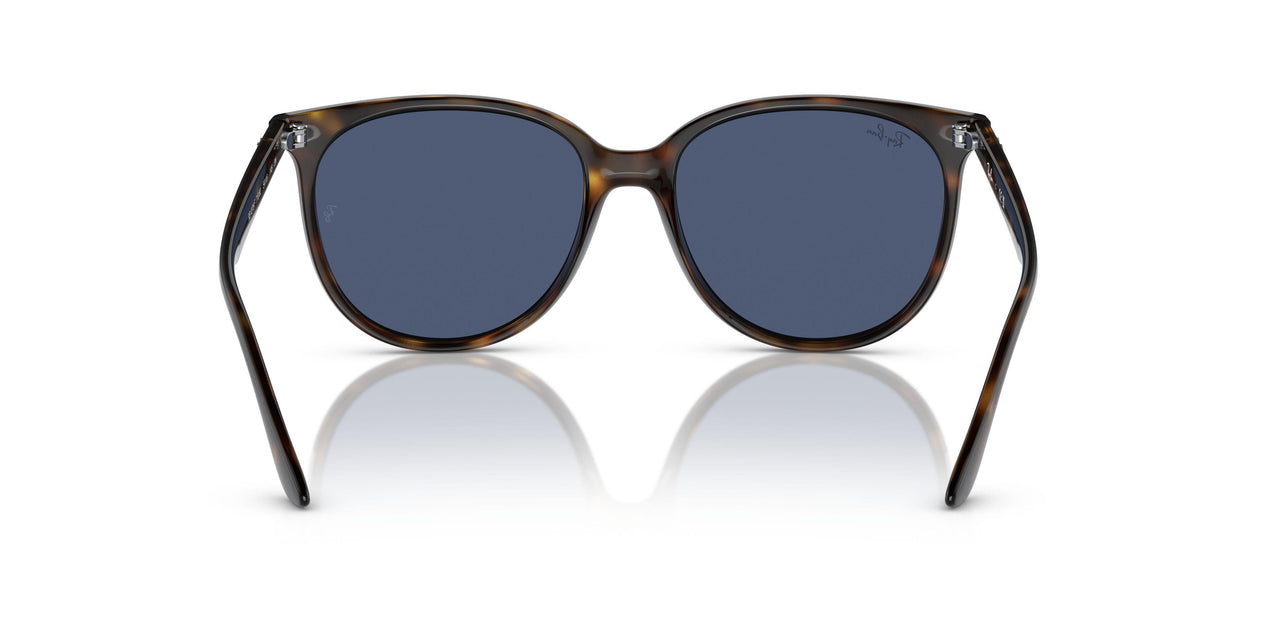 710/80 - Tortoise - Dark Blue