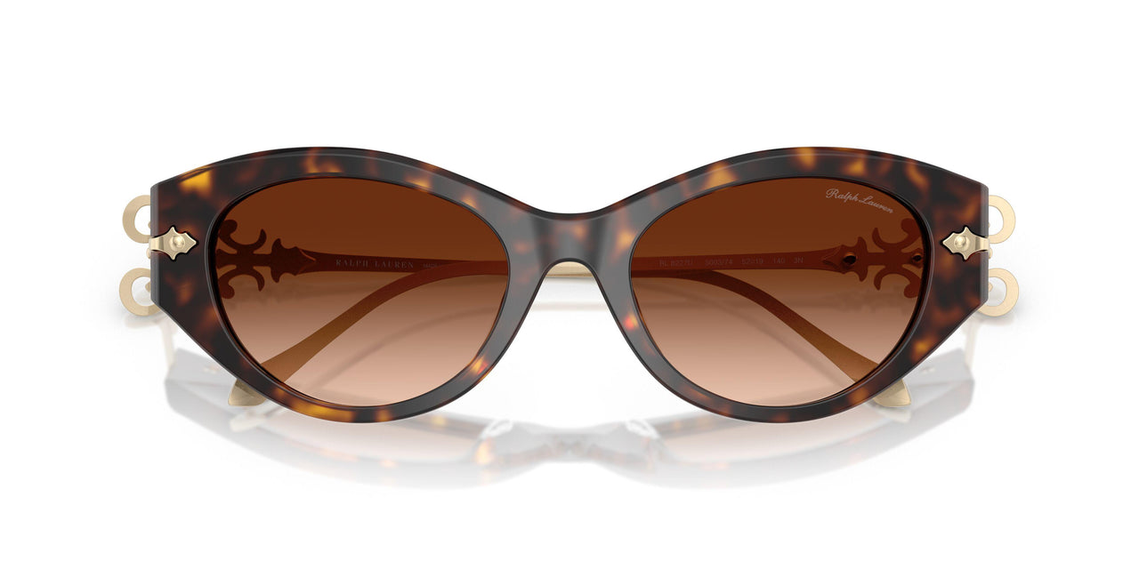 500374 - Brown - Gradient Brown