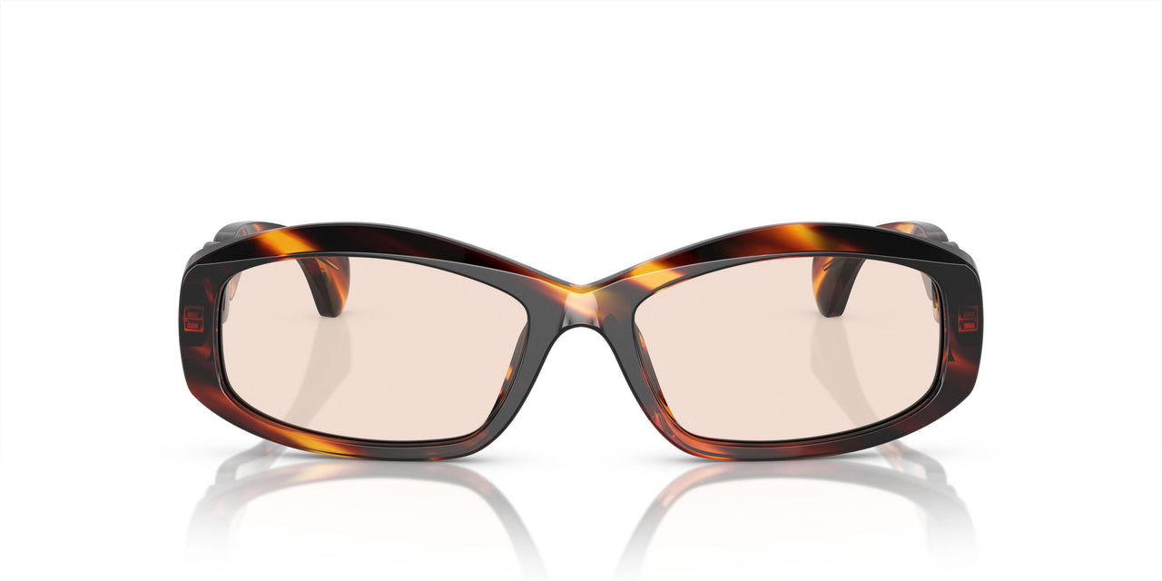 005 - Brown