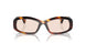 005 - Brown