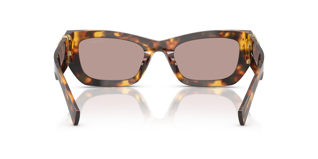 14L20I - Tortoise - Light Purple Brown
