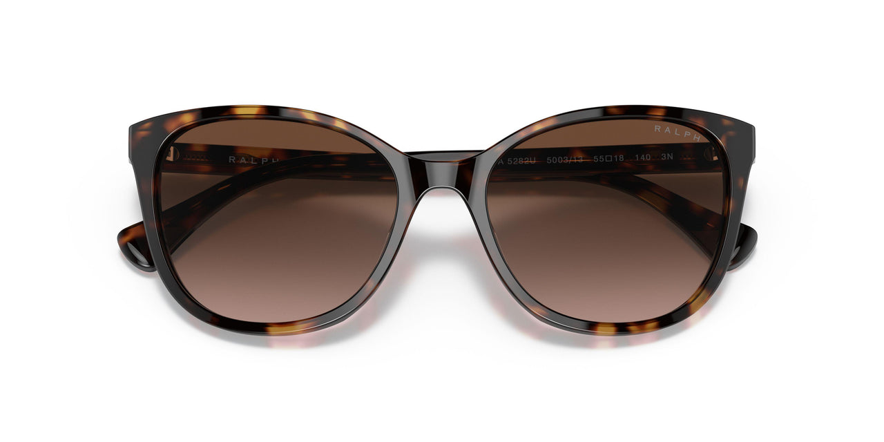 500313 - Havana - Brown Gradient