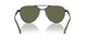 115158 - Black - Polar Green