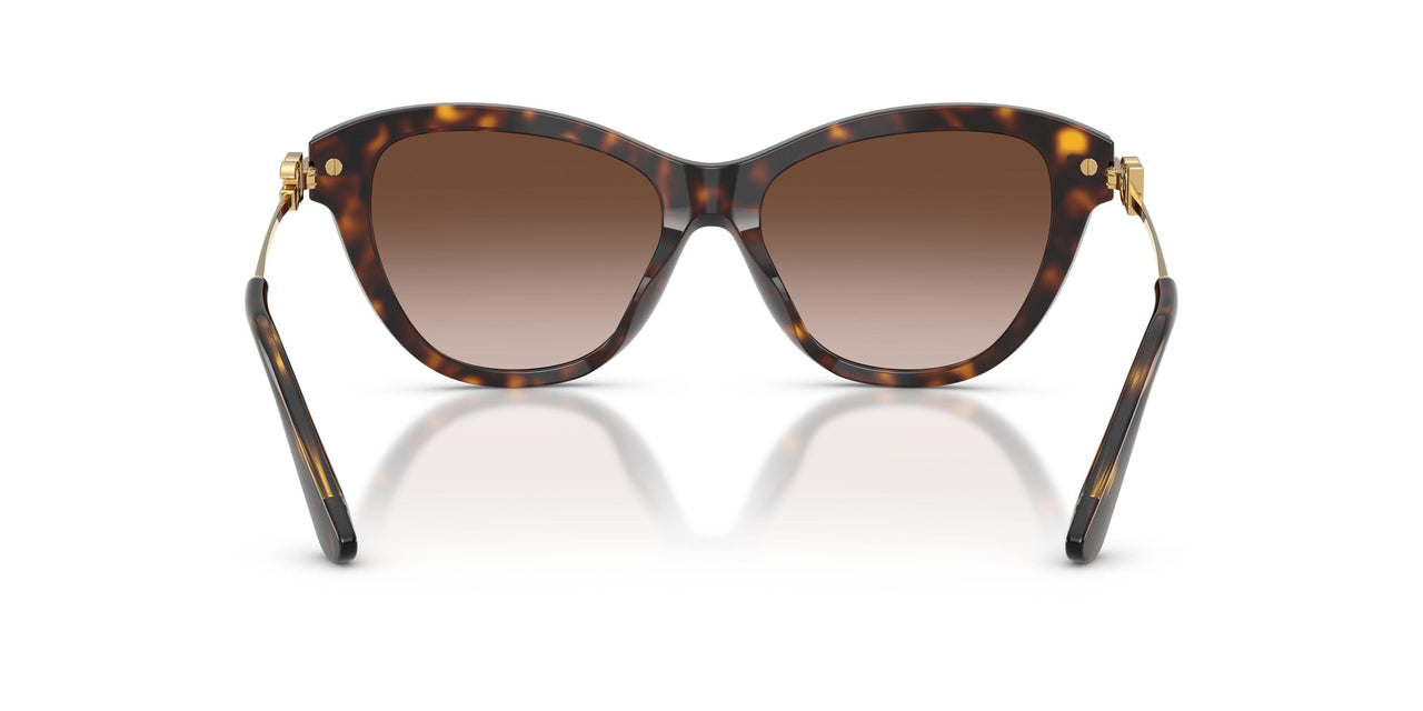 502/13 - Tortoise - Light Brown Gradient Dark Brow