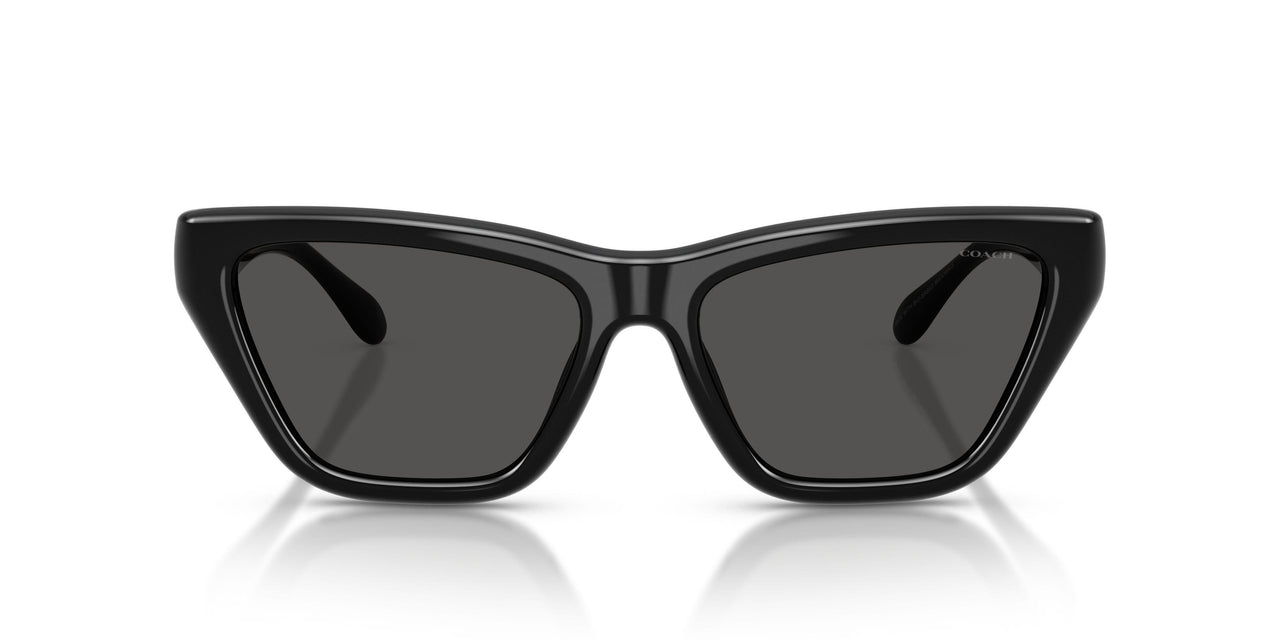 500287 - Black - Grey Solid