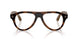 6905M4 - Tortoise - Clear/brown