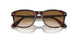 24/51 - Tortoise - Clear Gradient Brown