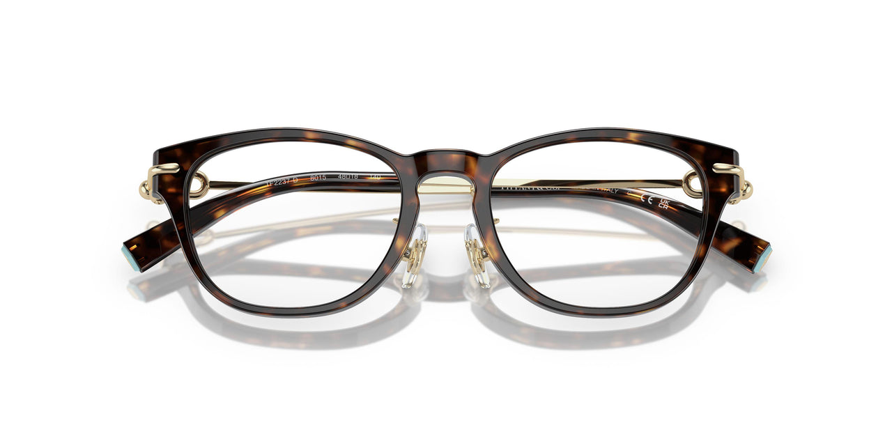 8015 - Tortoise