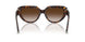 80153B - Tortoise - Brown Gradient