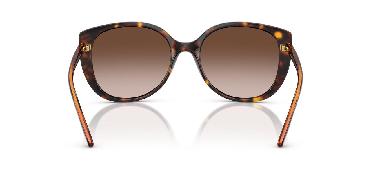 W65613 - Brown - Gradient Brown