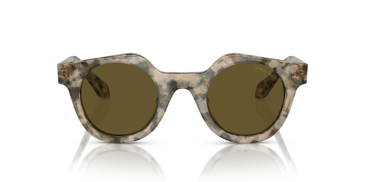 601773 - Beige - Dark Brown