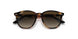 152/13 - Havana - Brown Gradient