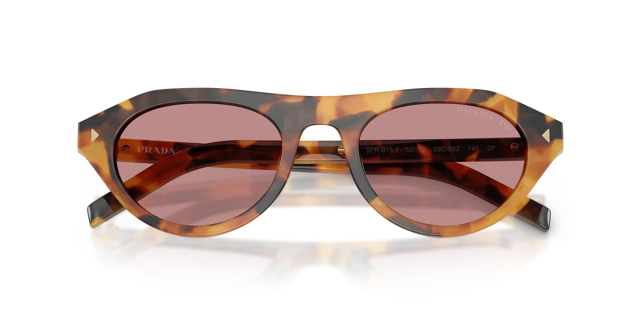 29C05Z - Tortoise - Dark Pink Polar
