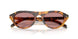 29C05Z - Tortoise - Dark Pink Polar