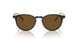 166657 - Brown - True Brown Polarized