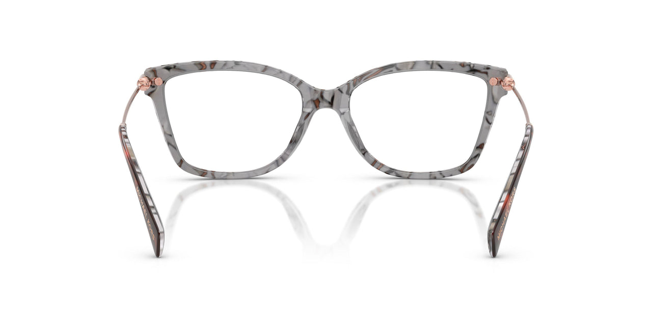 4017 - Tortoise