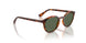 W65671 - Brown - Dark Green