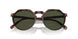 24/31 - Havana - Green