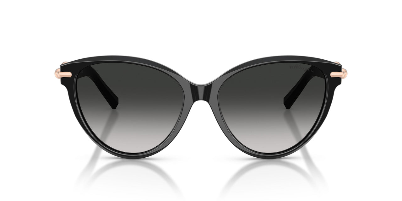 80013C - Black - Grey Gradient