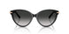 80013C - Black - Grey Gradient