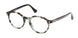 WEB 5427 Eyeglasses