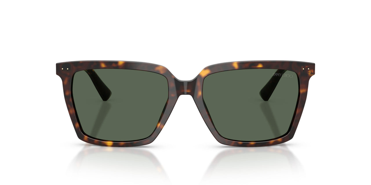 500271 - Tortoise - Dark Green