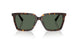 500271 - Tortoise - Dark Green