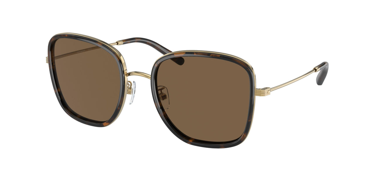 336373 - Tortoise - Brown Gradient