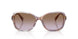 634068 - Tortoise - Gradient Violet