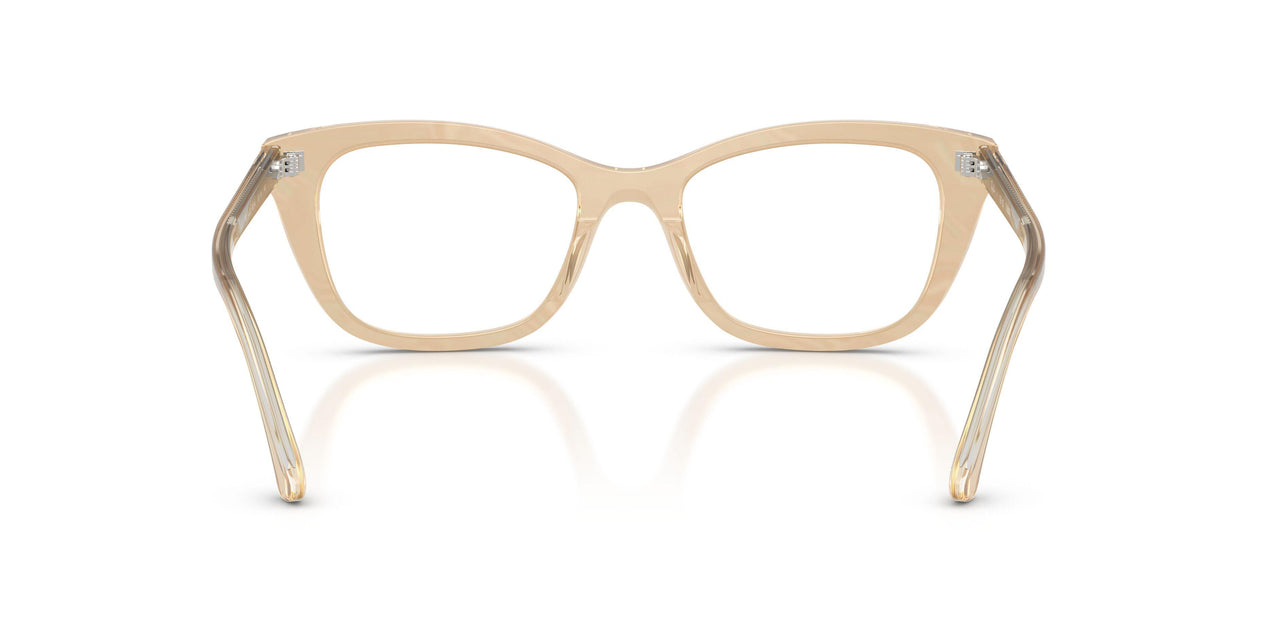 8294 - Brown - Clear