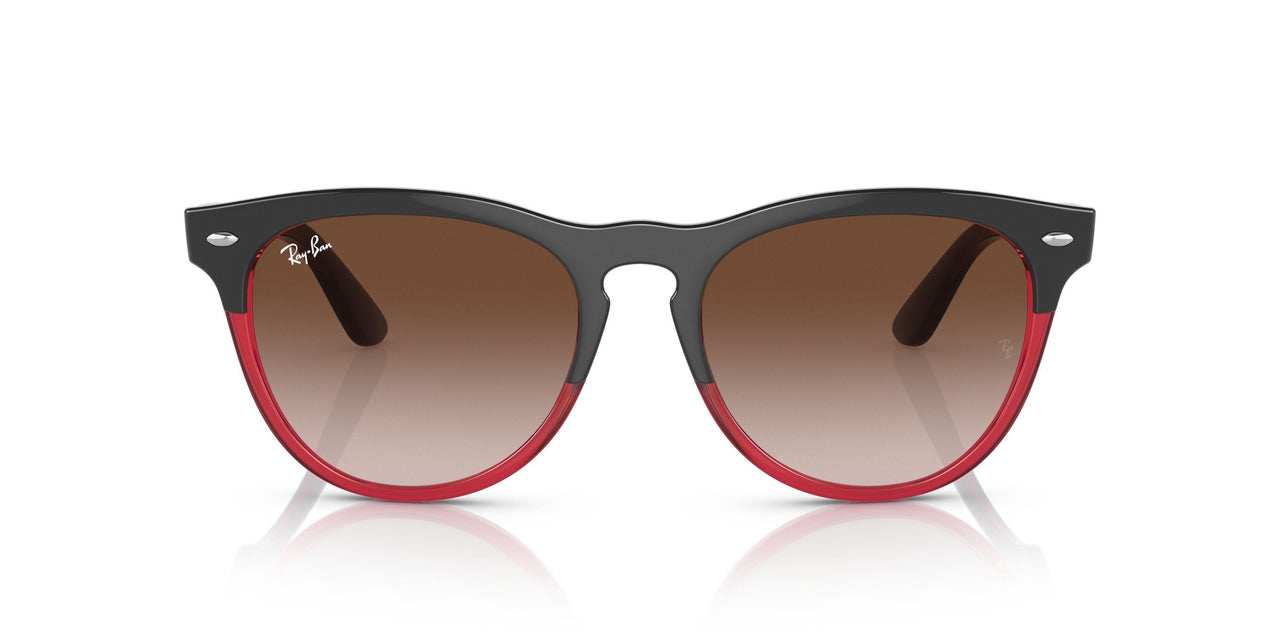 663113 - Grey - Gradient Brown