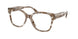 2026 - Brown