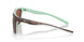 903701 - 255 Shiny Tort/white/seafoam - Copper 580p
