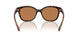 828373 - Tortoise - Brown