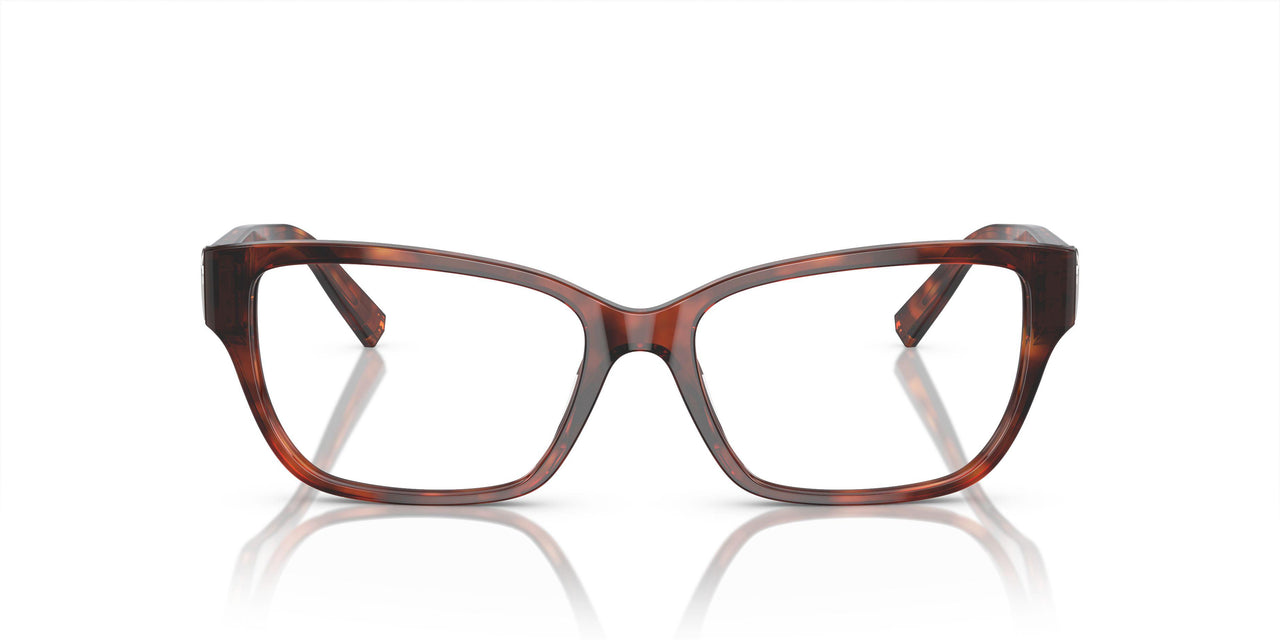 8002 - Tortoise