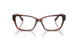 8002 - Tortoise