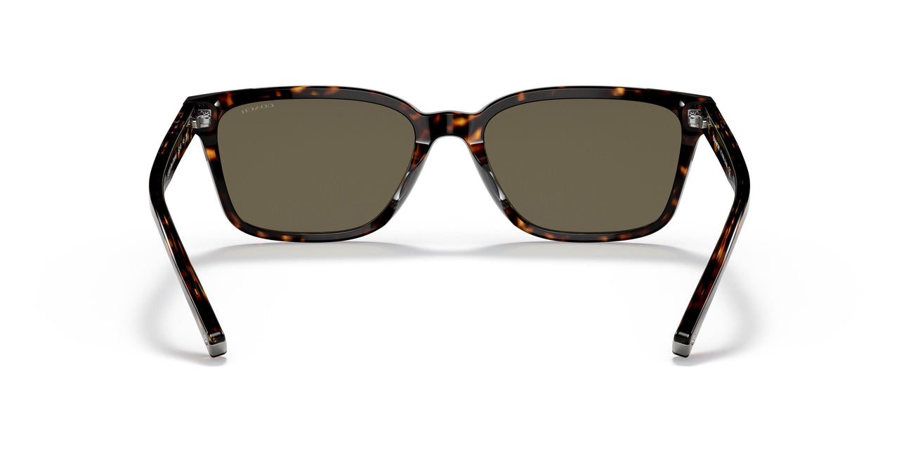 512003 - Havana - Dark Brown Solid