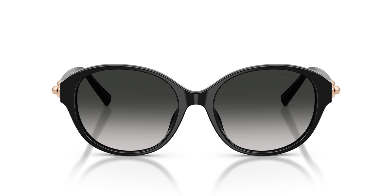 80013C - Black - Grey Gradient