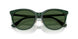 416271 - Green - Dark Green