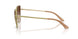 300613 - Gold - Gradient Brown