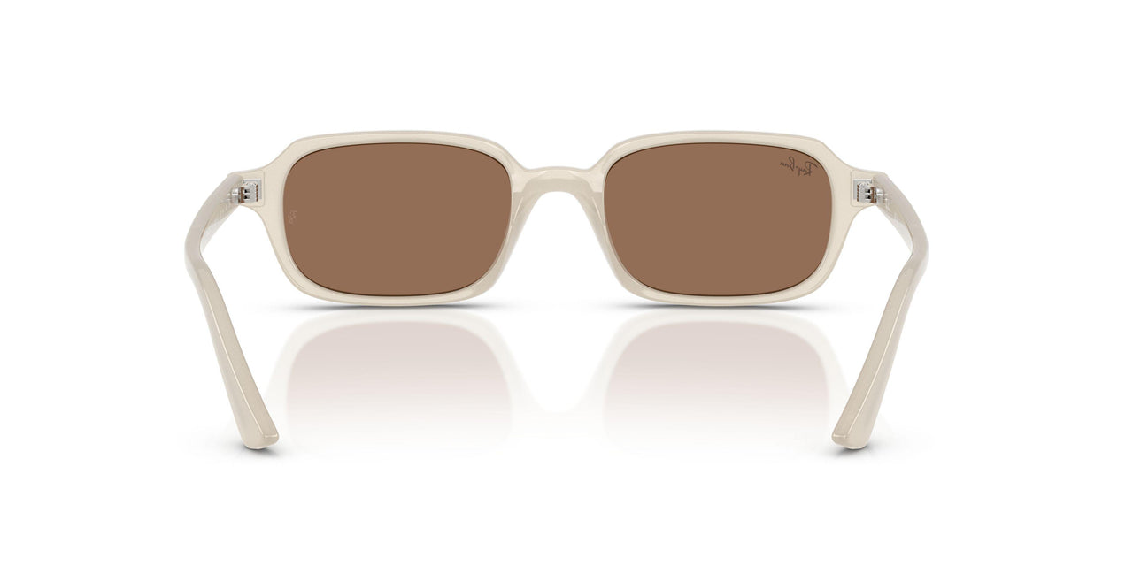 680873 - White - Dark Brown