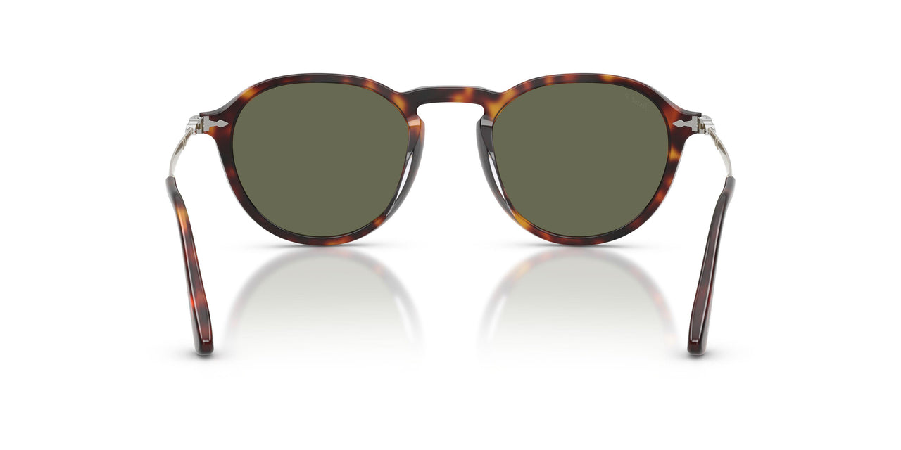 24/58 - Tortoise - Polar Green