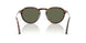 24/58 - Tortoise - Polar Green