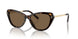 500373 - Brown - Brown